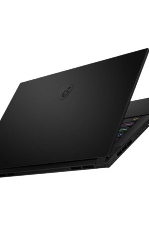 MSI GS66 10SFS6