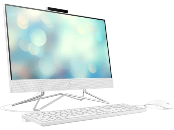 HP All-in-One 22-dd2000d PC